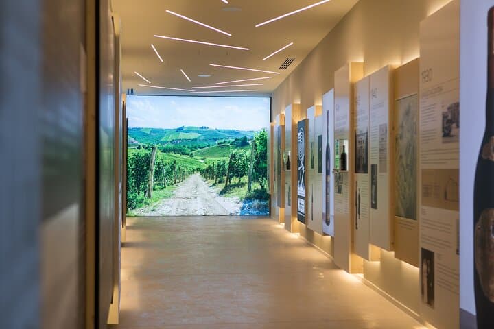 Valpolicella Wein Erlebnis in der Montresor Weinkellerei — Foto 4