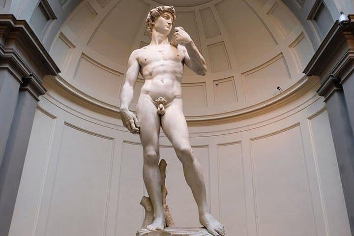 Biglietti per l'ingresso rapido alla Statua di David di Michelangelo