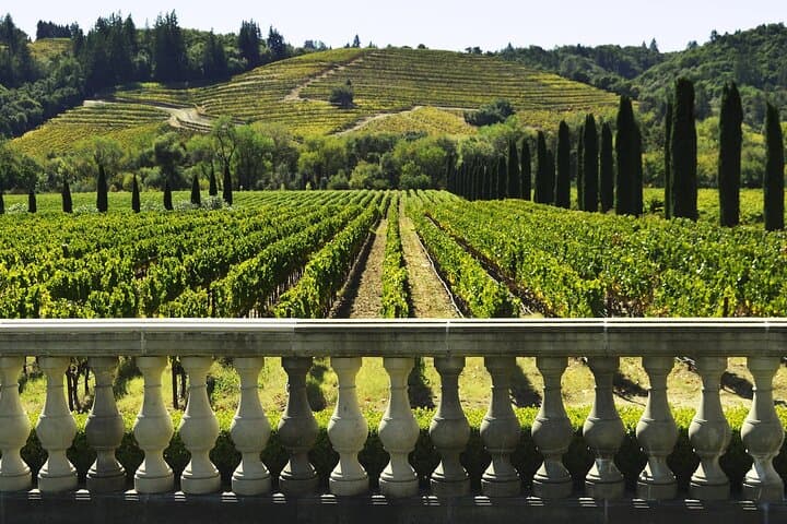 Private Halbtägige Txakoli-Weintour & Fischerdorf Getaria