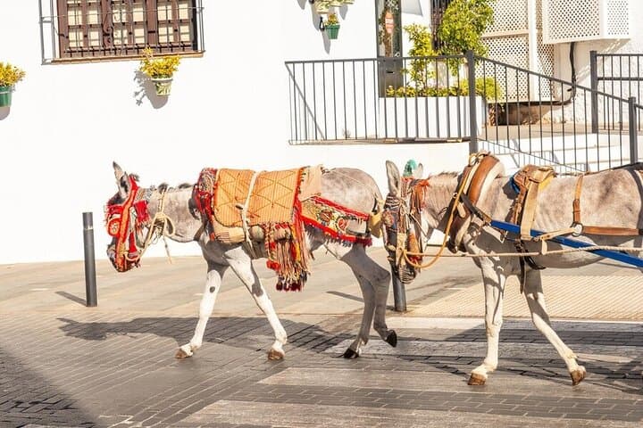 Tour Privado Guiado a Pie por Mijas — foto 3