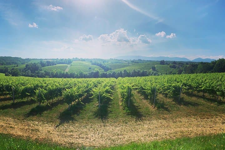 Avventura nelle Colline del Prosecco — foto 3