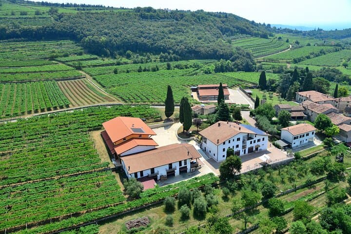 Amarone Weinverkostung ab Verona — Foto 2