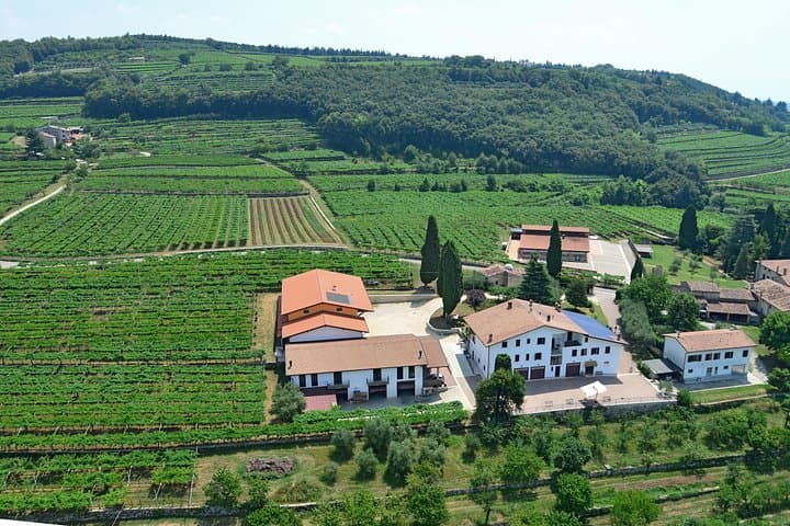 Amarone Weinverkostung in Valpolicella — Foto 2