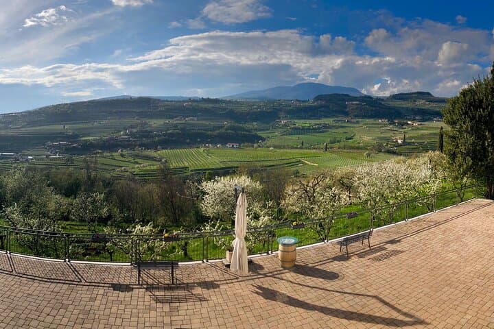 Amarone Weinverkostung ab Verona — Foto 3