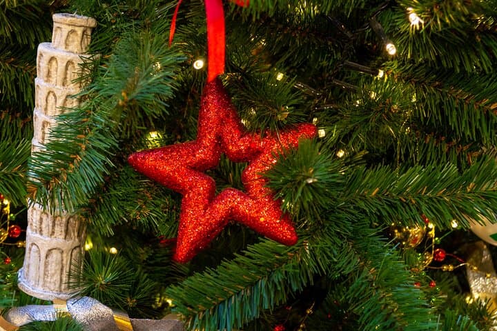 Tour Privado a Pie por la Navidad en Pisa — foto 3