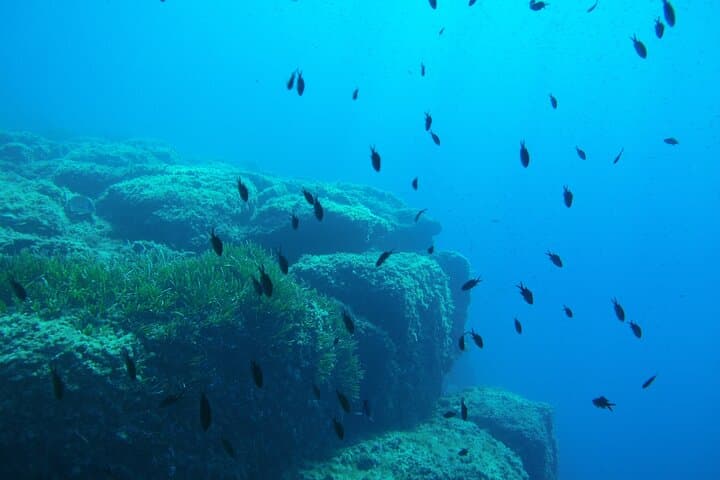 Snorkel y Buceo de Medio Día en Niza — foto 3