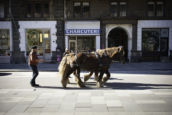 Trasferimento Privato da Amburgo a Copenaghen — foto 3