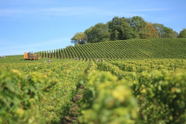 Vollständige Rioja-Weintour mit Mittagessen – Private Tour ab San Sebastian