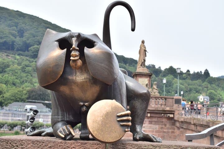 Tour Esclusivo di Heidelberg - Centro Storico, Passeggiata Panoramica e Ingresso al Castello — foto 5