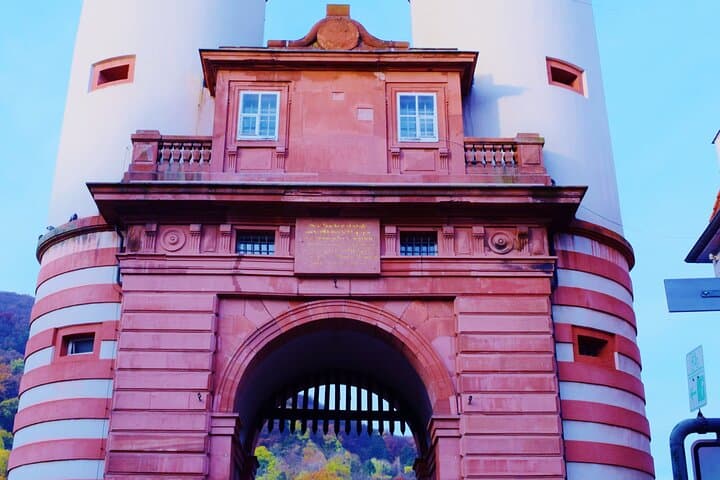 Tour Esclusivo di Heidelberg - Centro Storico, Passeggiata Panoramica e Ingresso al Castello — foto 4