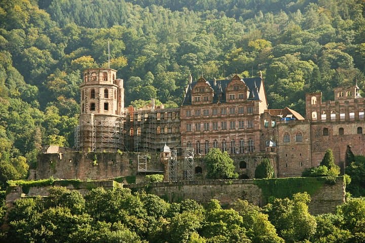 Heidelberg Exclusive Tour - Old Town, Scenic Walk & Castle Entry — photo 3