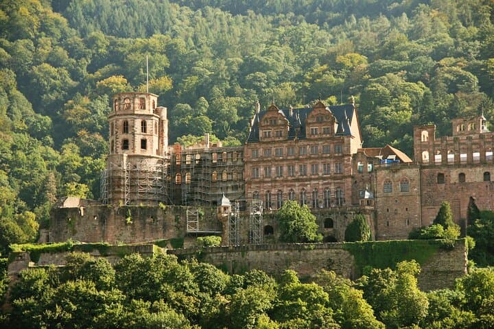 Tour Esclusivo di Heidelberg - Centro Storico, Passeggiata Panoramica e Ingresso al Castello — foto 3