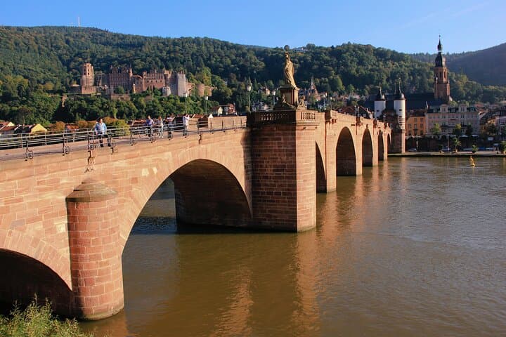 Tour Esclusivo di Heidelberg - Centro Storico, Passeggiata Panoramica e Ingresso al Castello — foto 2