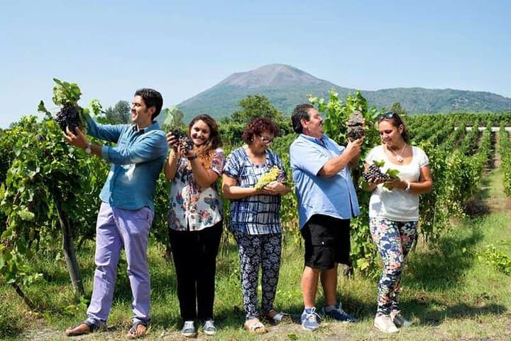 Tour Privato di Pompei e Cantina del Vesuvio
