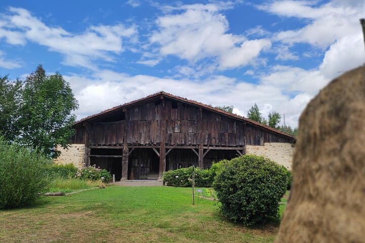San Sebastián, Getaria y las tradiciones rurales vascas — foto 2
