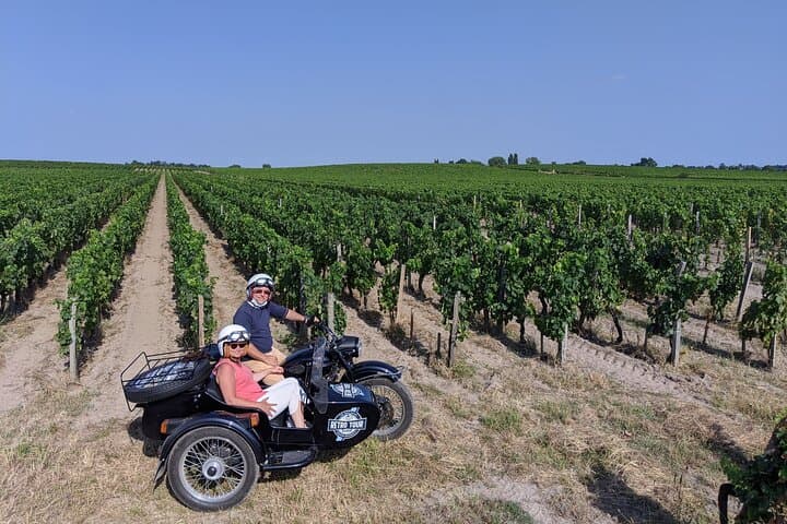 2 in 1 - Visita di Bordeaux ed escursione in un vigneto — foto 3