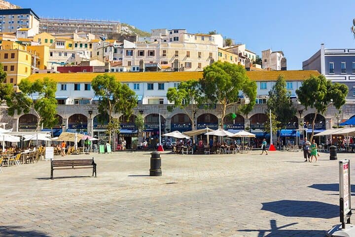 Tour de Gibraltar con visita a la Roca desde la Costa del Sol — foto 4