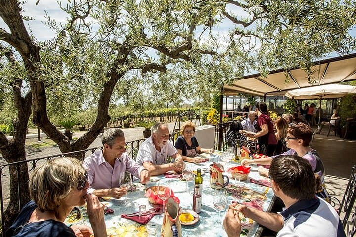 Malersiche Weinprobe & Mittagessen an den Hängen des Vesuvs von Neapel