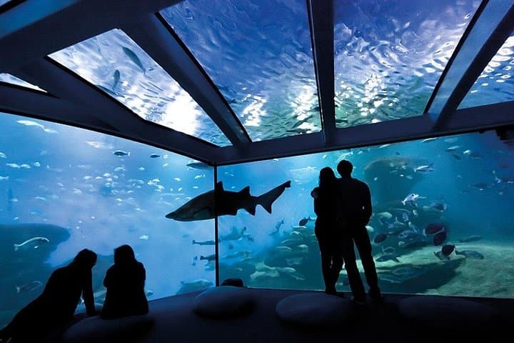 Biglietto per il Palma Aquarium — foto 4