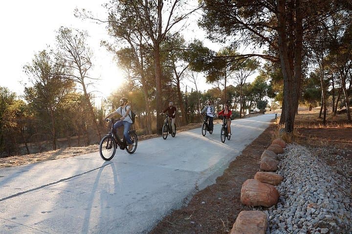 Granada: Alhambra e viste al tramonto della Sierra Nevada in E-Bike — foto 5
