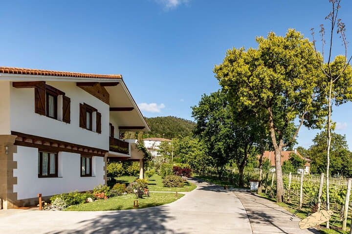 Visite Privée d'un Vignoble Basque : Dégustation de Vin Txakoli depuis Bilbao