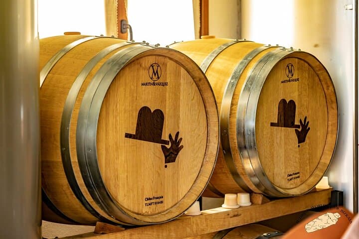Visite Privée d'un Vignoble Basque : Dégustation de Vin Txakoli depuis Bilbao — photo 2