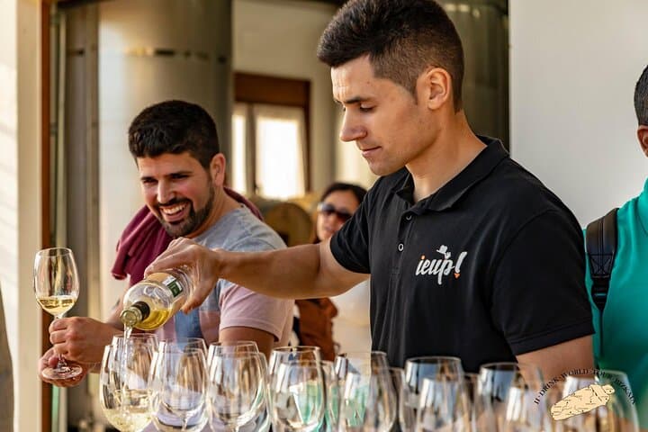 Visite Privée d'un Vignoble Basque : Dégustation de Vin Txakoli depuis Bilbao — photo 3