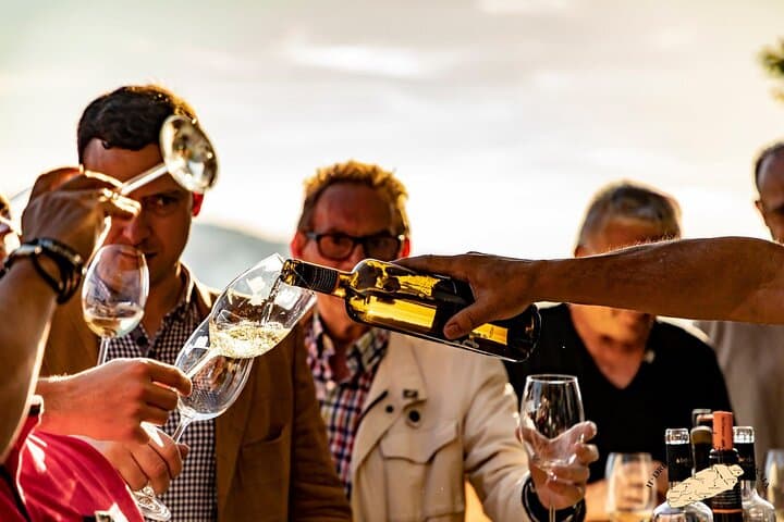 Visite Privée d'un Vignoble Basque : Dégustation de Vin Txakoli depuis Bilbao — photo 4