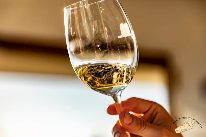 Visite Privée d'un Vignoble Basque : Dégustation de Vin Txakoli depuis Bilbao — photo 5