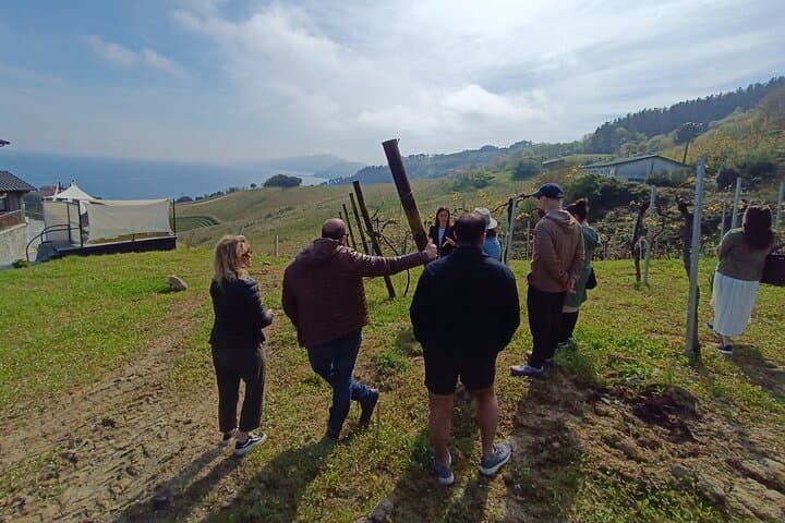 Private Halbtägige Txakoli-Weintour & Fischerdorf Getaria — Foto 3