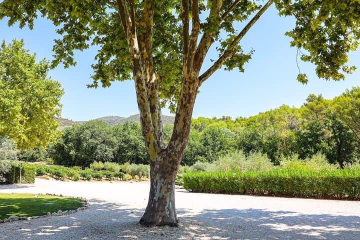 Private Luberon Wein- und Gourmettour, Lourmarin — Foto 2