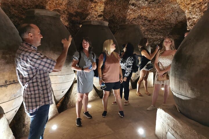 Halbtägige Tour zu 2 Weingütern in Madrid und der Region Chinchon — Foto 5