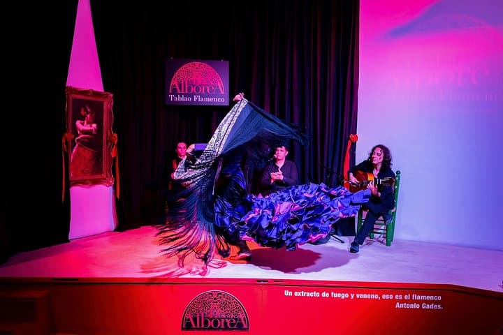 Espectáculo de Flamenco en Granada — foto 4