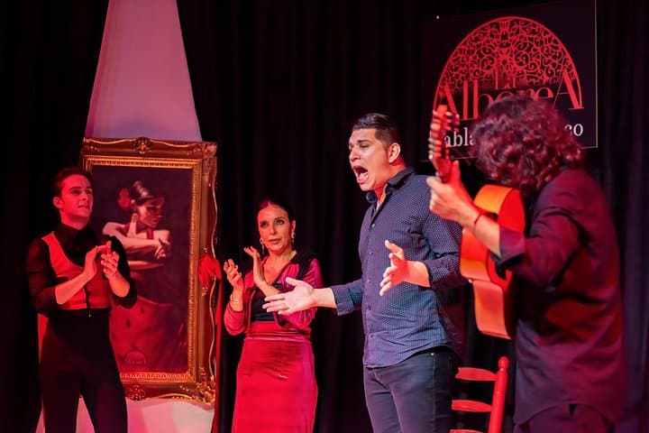 Espectáculo de Flamenco en Granada — foto 5