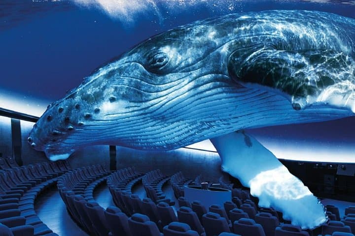Biglietto per il Palma Aquarium