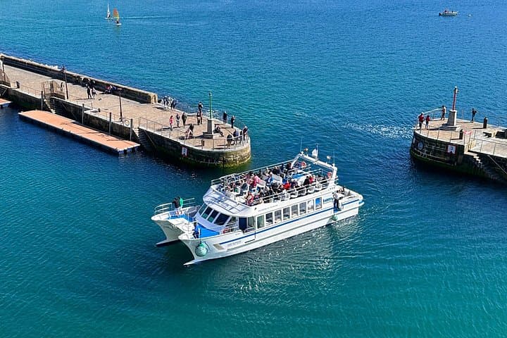Gita in Catamarano Ibrido: La Concha e Costa di San Sebastian — foto 2