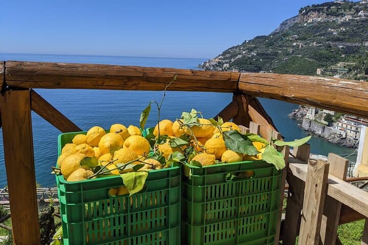 Tour del Sentiero dei Limoni con Degustazione a Maiori, Costiera Amalfitana
