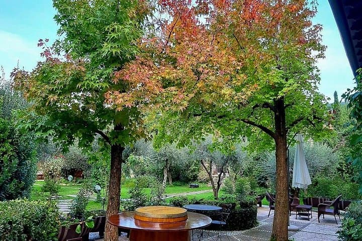Visite et Dégustation de Vin Valpolicella près de Fumane — photo 2
