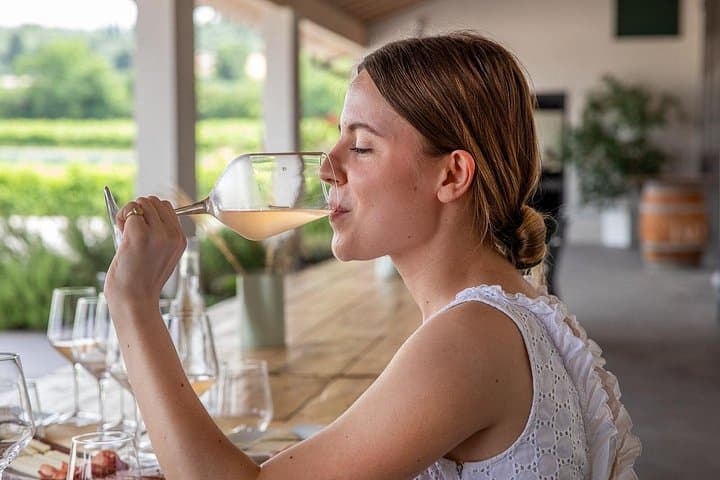 Bardolino Wein Erlebnis