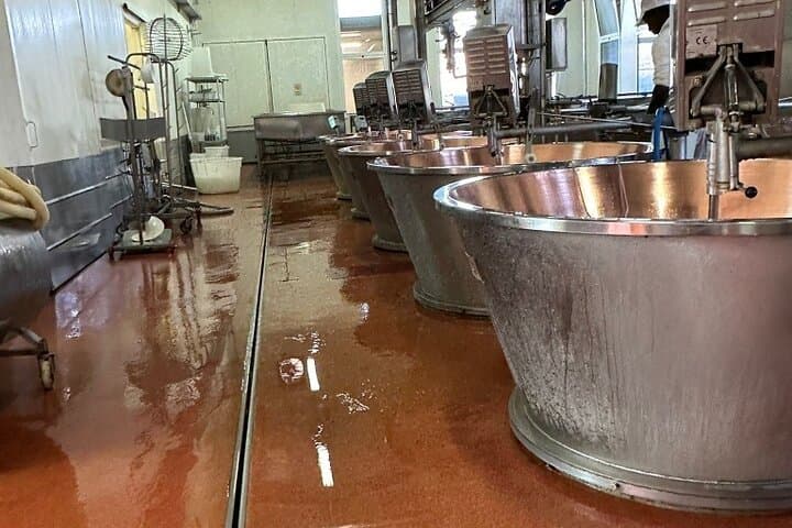 Tour de Supercoches, Parmesano y Vinagre Balsámico en Emilia-Romagna de Todo el Día — foto 4