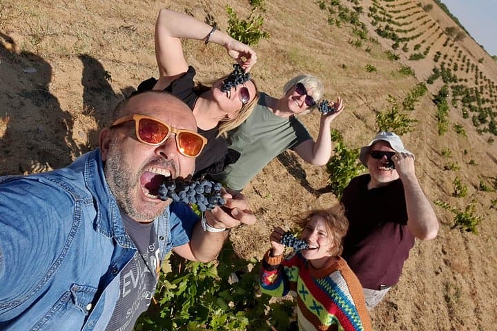 Ribera del Duero Wein Tour mit Verkostungen und Mittagessen ab Madrid — Foto 5