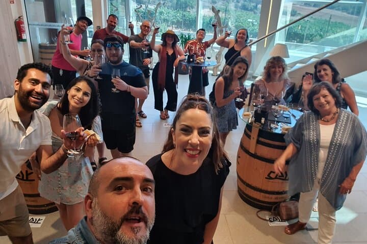 Ribera del Duero Wein Tour mit Verkostungen und Mittagessen ab Madrid — Foto 2