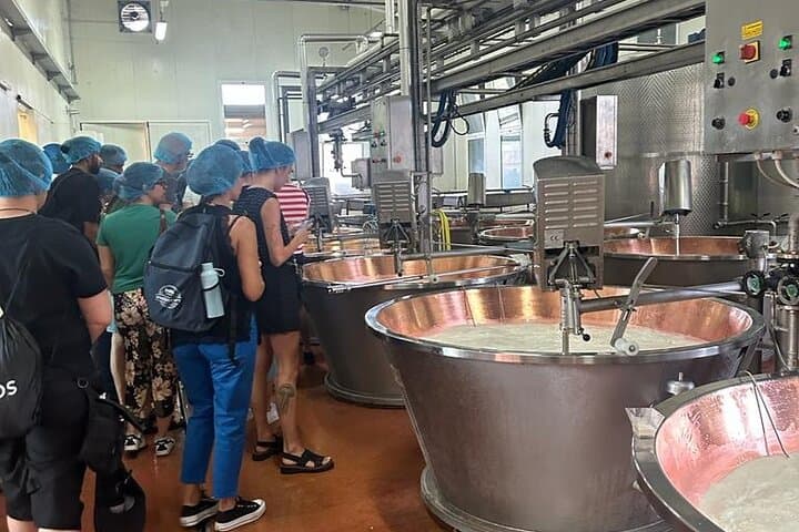 Day Tour Parmigiano, Ferrari Museum, Balsamic, Lambrusco, Lunch with Transfer — photo 1