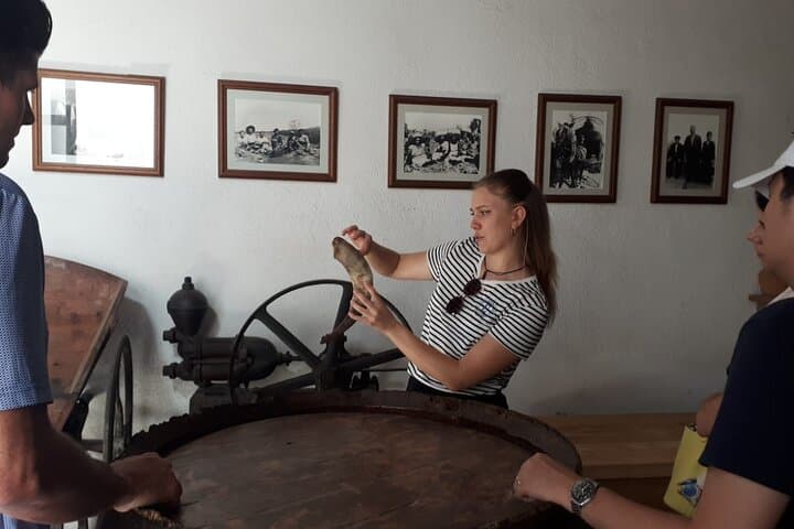 Cava-Tour zu 3 Familienweingütern mit Hotelabholung — Foto 2