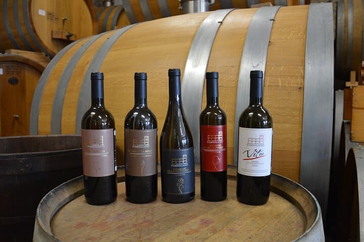 Pagus Wine Tours® - Zwei Amarone-Weingüter - Halbtägige Weinprobe — Foto 5