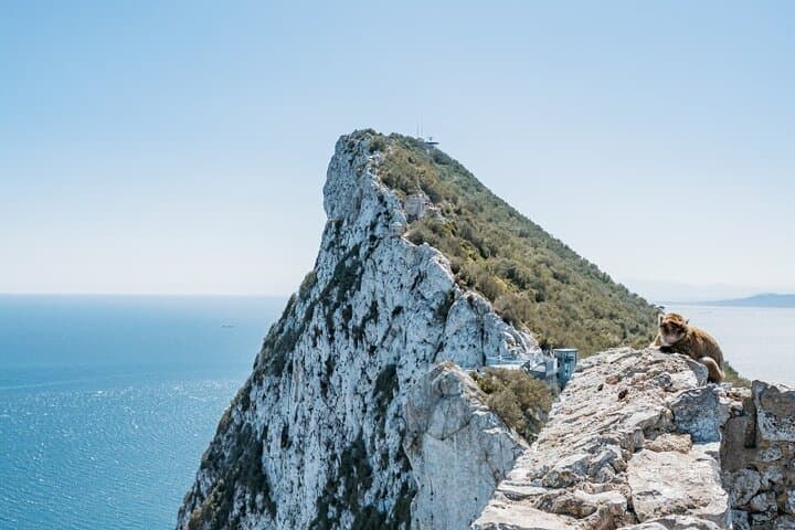 Gibraltar-Ausflug von Malaga mit Transport — Foto 2