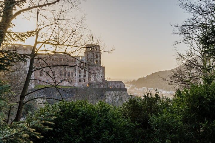 Heidelberg Schloss und Stadt Tagesausflug von Frankfurt — Foto 3