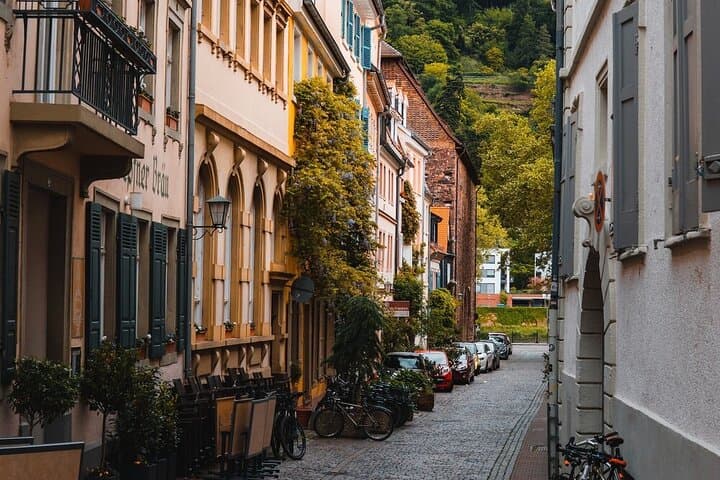 Heidelberg Schloss und Stadt Tagesausflug von Frankfurt — Foto 5