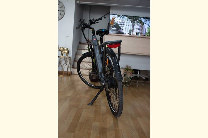 E-Bikes für einen Tag in Malaga mieten — Foto 4
