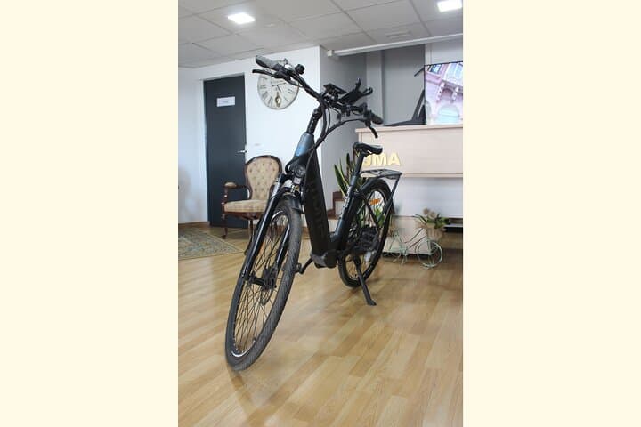 E-Bikes für einen Tag in Malaga mieten — Foto 5